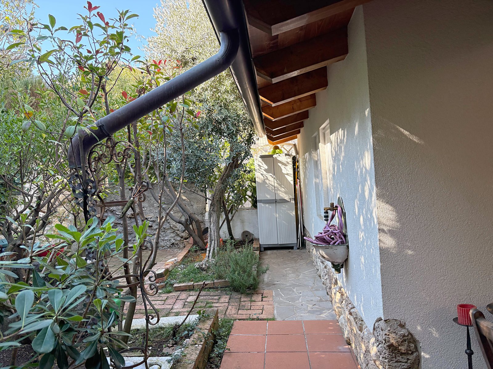 Garten mit Steinweg, Olivenbaum und Wandbrunnen neben dem Haus, Duino, Duino Aurisina